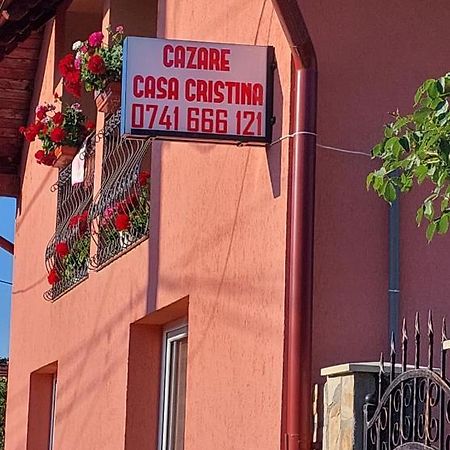 Casa Cristina Cartisoara Exterior foto