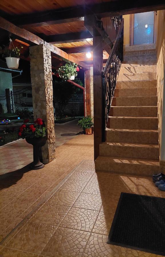 Casa Cristina Cartisoara Exterior foto