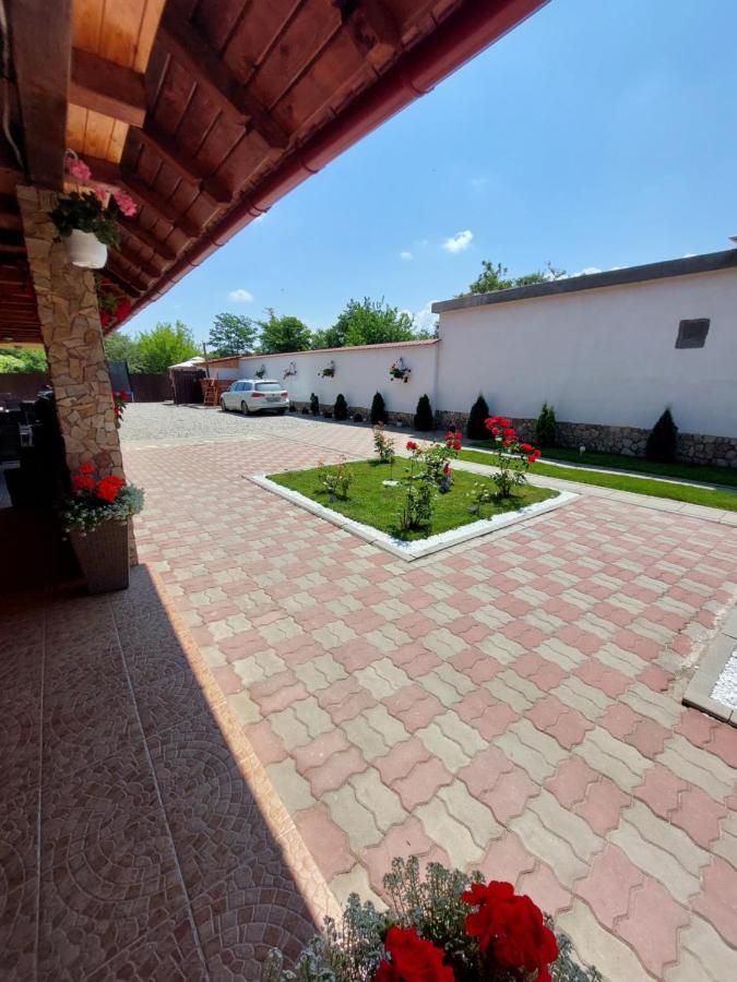 Casa Cristina Cartisoara Exterior foto