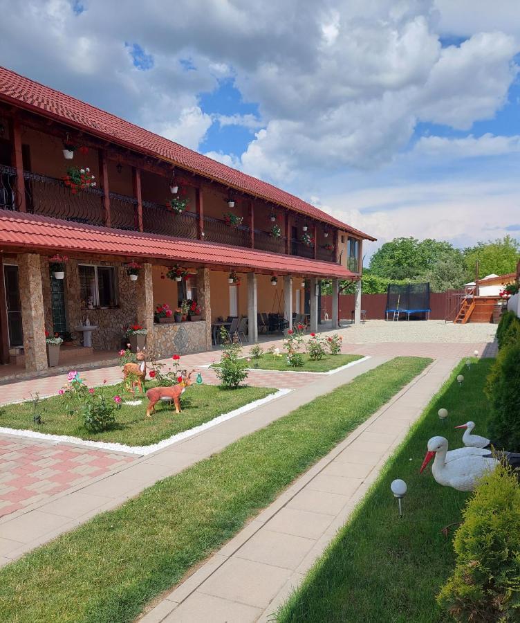 Casa Cristina Cartisoara Exterior foto