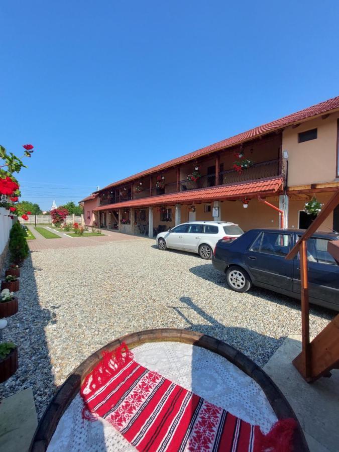 Casa Cristina Cartisoara Exterior foto